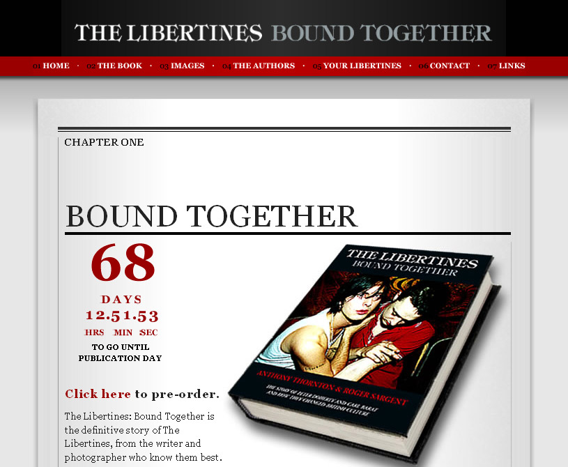 The Libertines Bound together website design